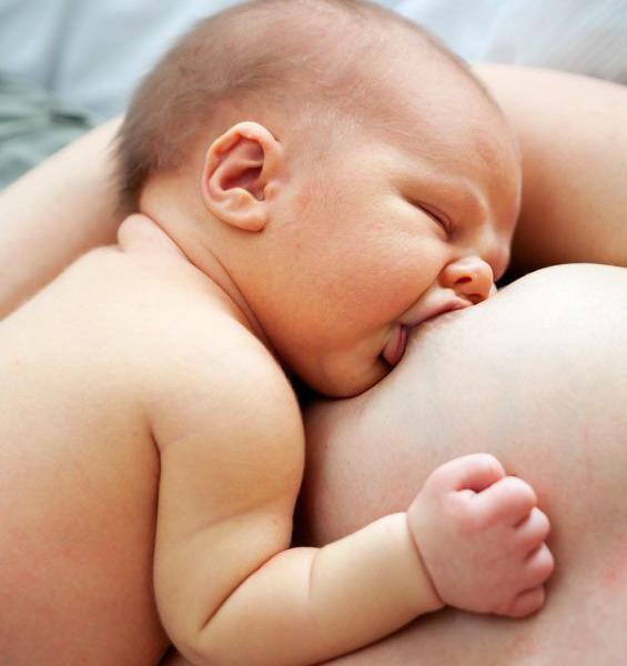 Webinaire : Physiologie de la lactation-E-learning